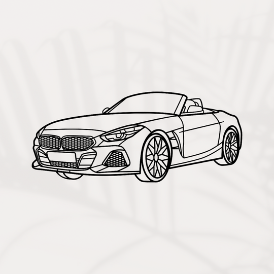 Z4 Auto Silhouette